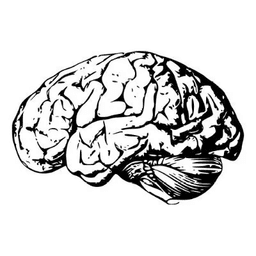 Namy.ai logo